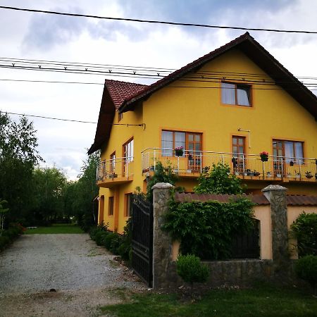 Pensiunea Ramona Cărpinişu エクステリア 写真