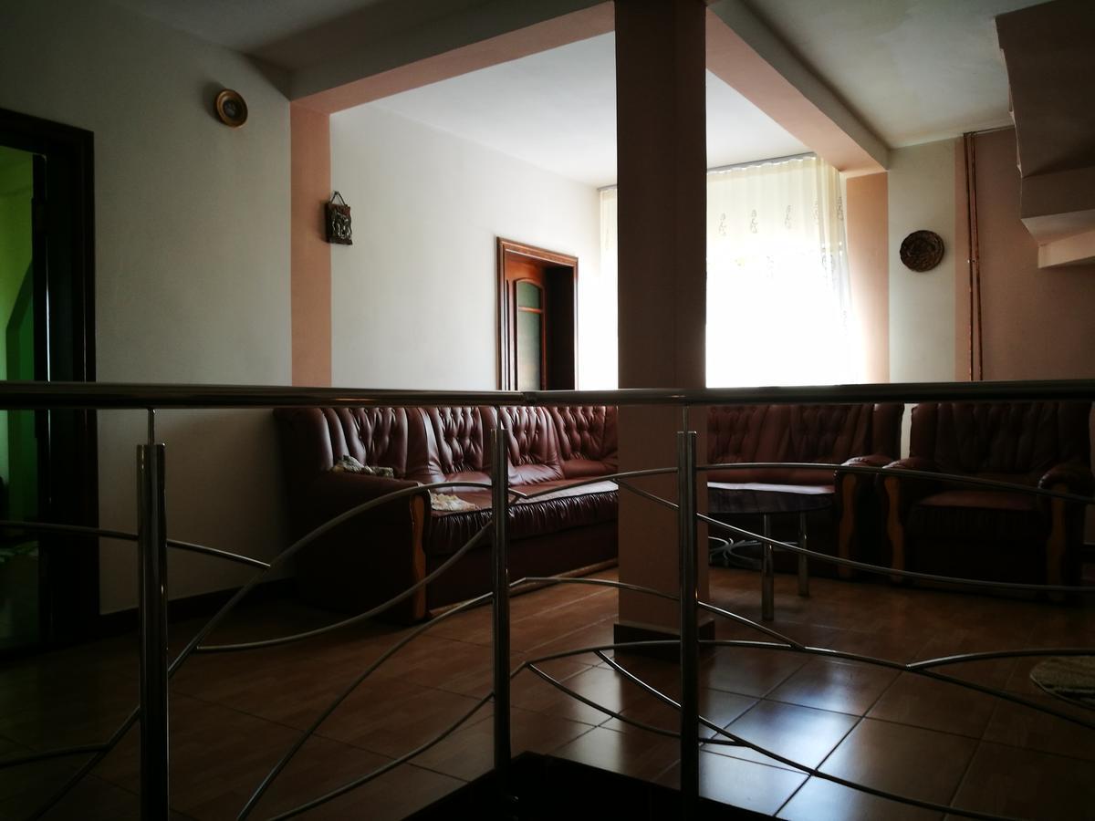Pensiunea Ramona Cărpinişu エクステリア 写真