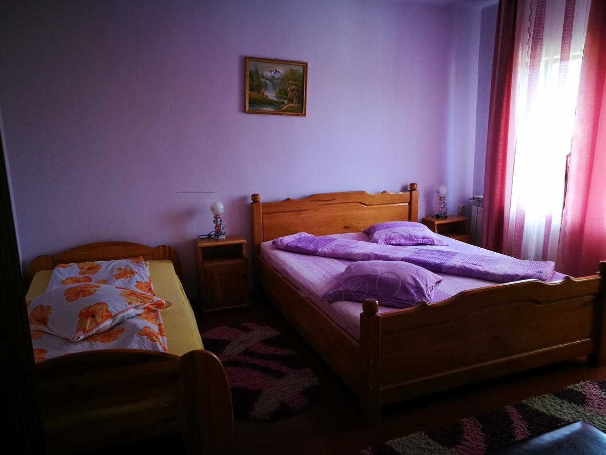 Pensiunea Ramona Cărpinişu エクステリア 写真