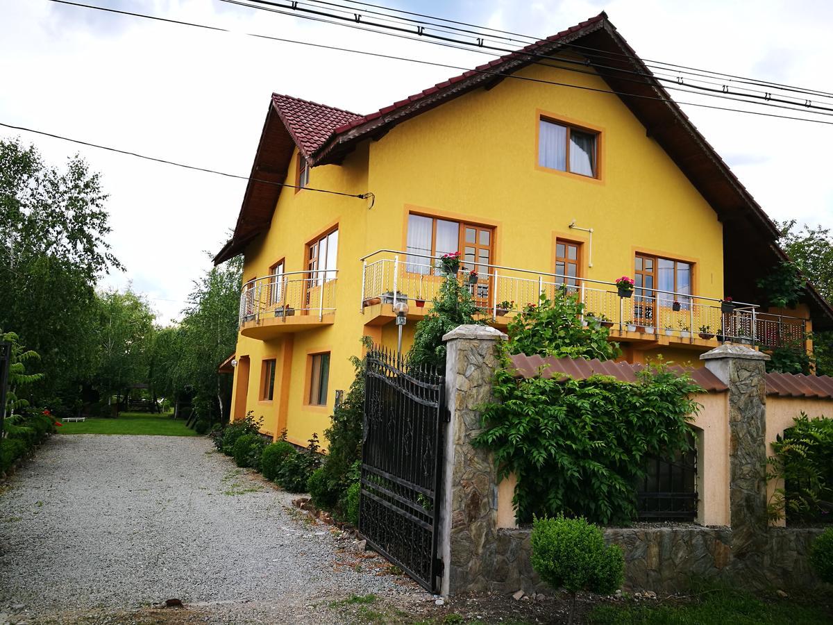 Pensiunea Ramona Cărpinişu エクステリア 写真