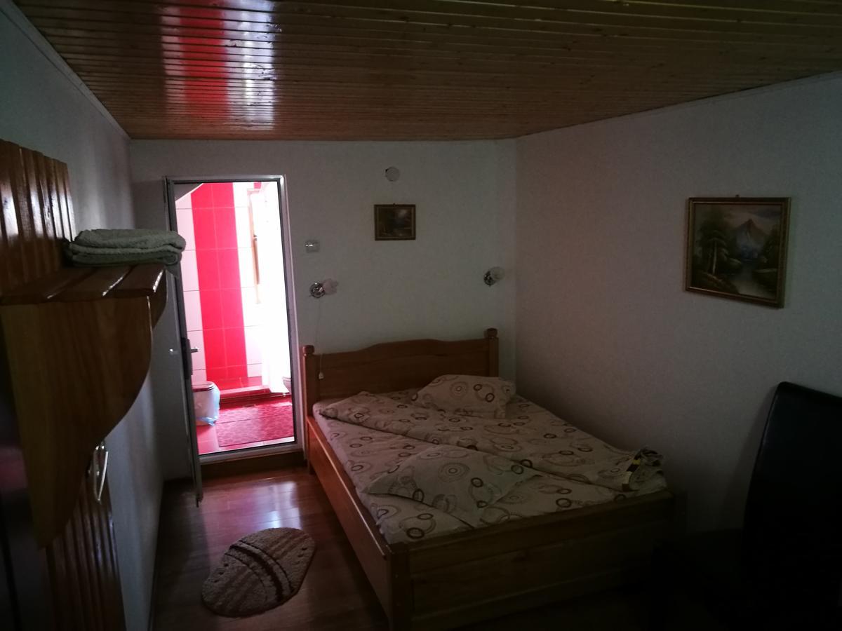Pensiunea Ramona Cărpinişu エクステリア 写真