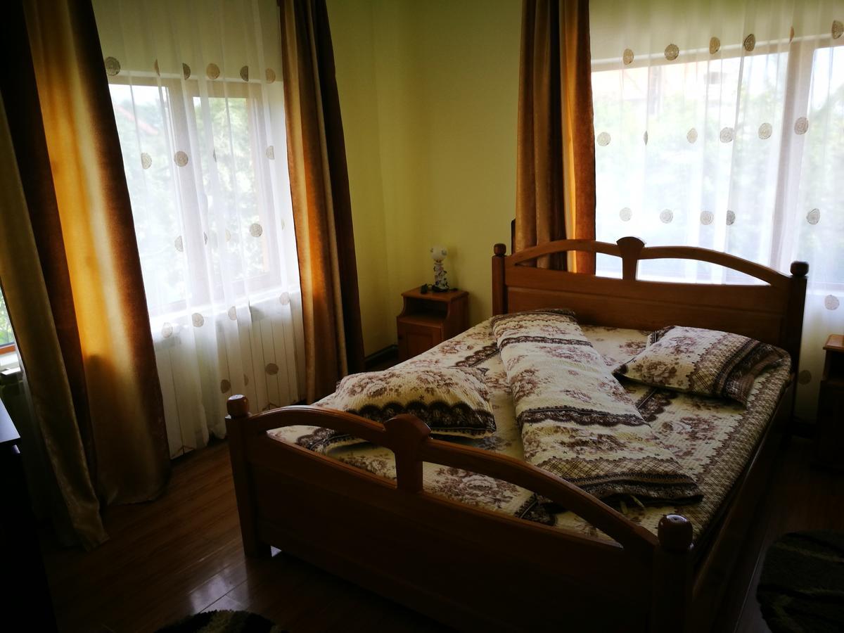 Pensiunea Ramona Cărpinişu エクステリア 写真