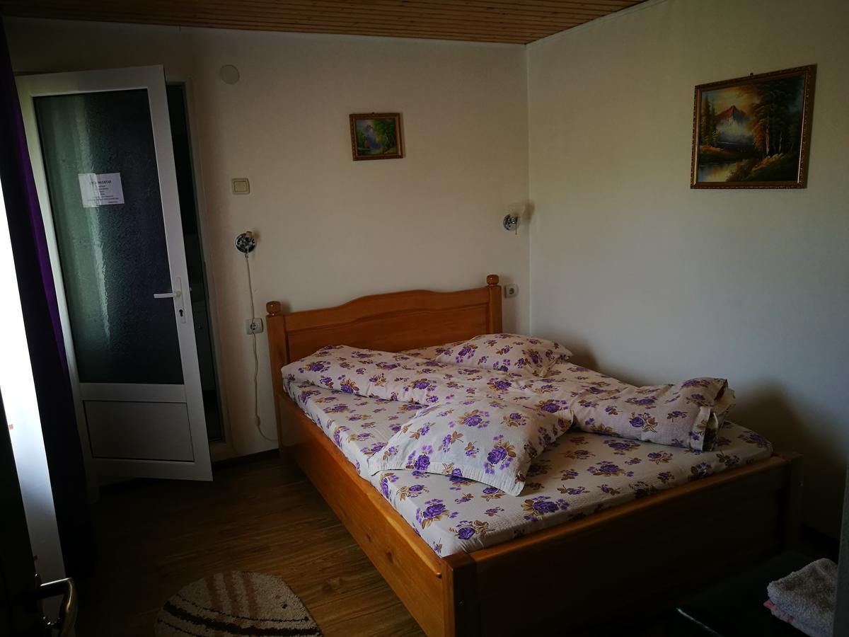 Pensiunea Ramona Cărpinişu エクステリア 写真