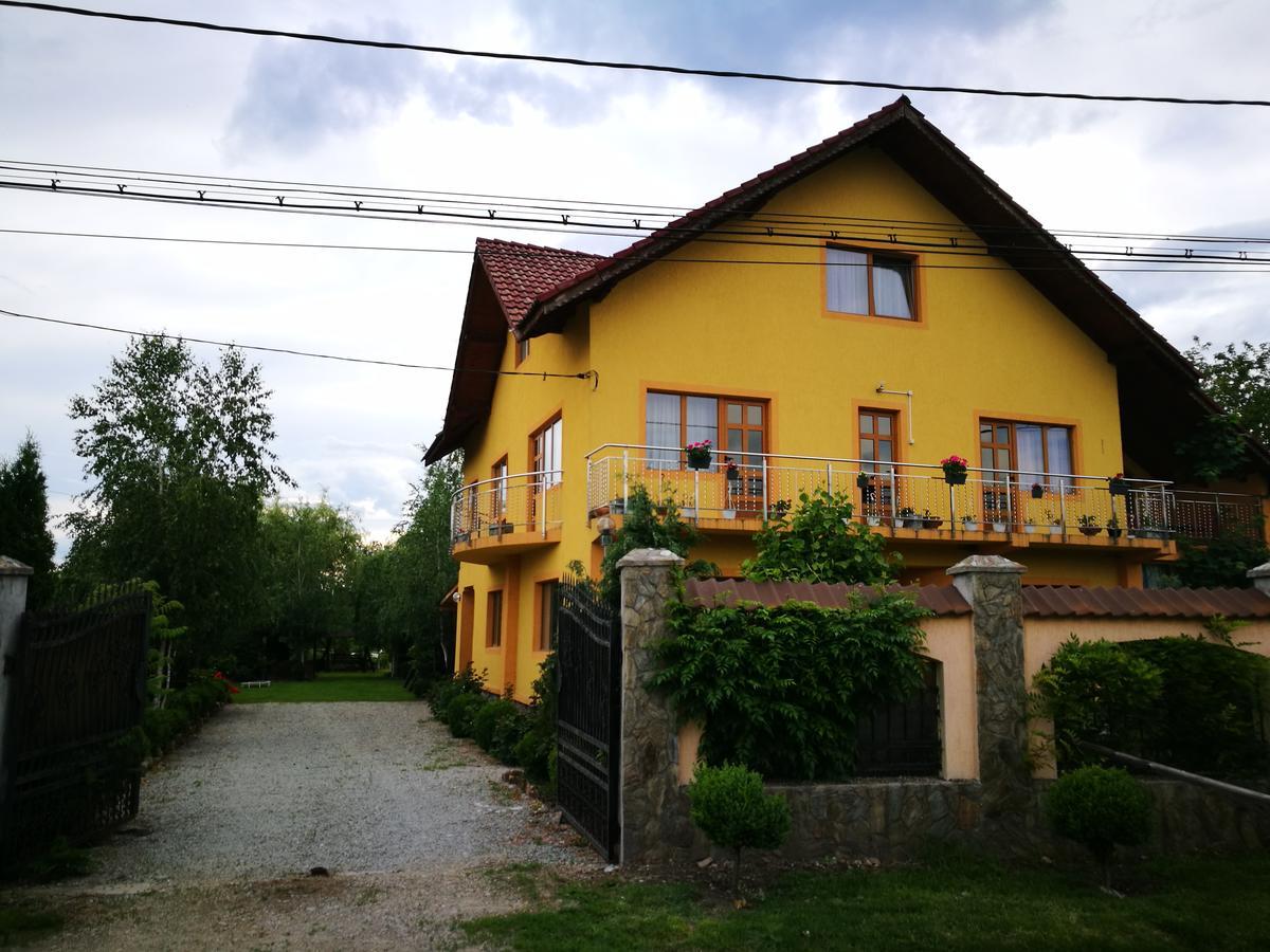Pensiunea Ramona Cărpinişu エクステリア 写真