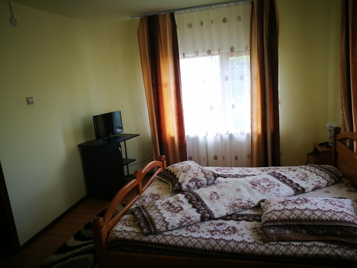 Pensiunea Ramona Cărpinişu エクステリア 写真