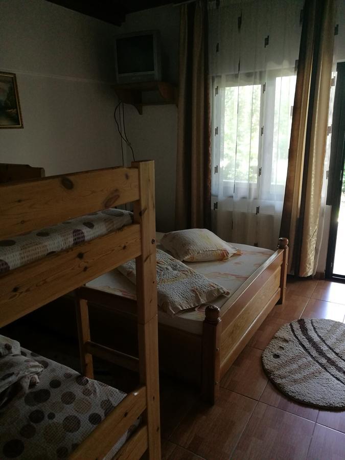 Pensiunea Ramona Cărpinişu エクステリア 写真