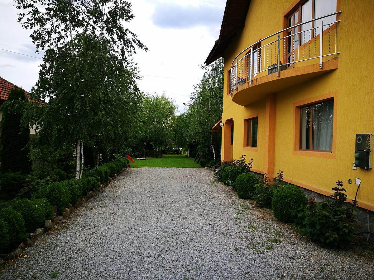 Pensiunea Ramona Cărpinişu エクステリア 写真