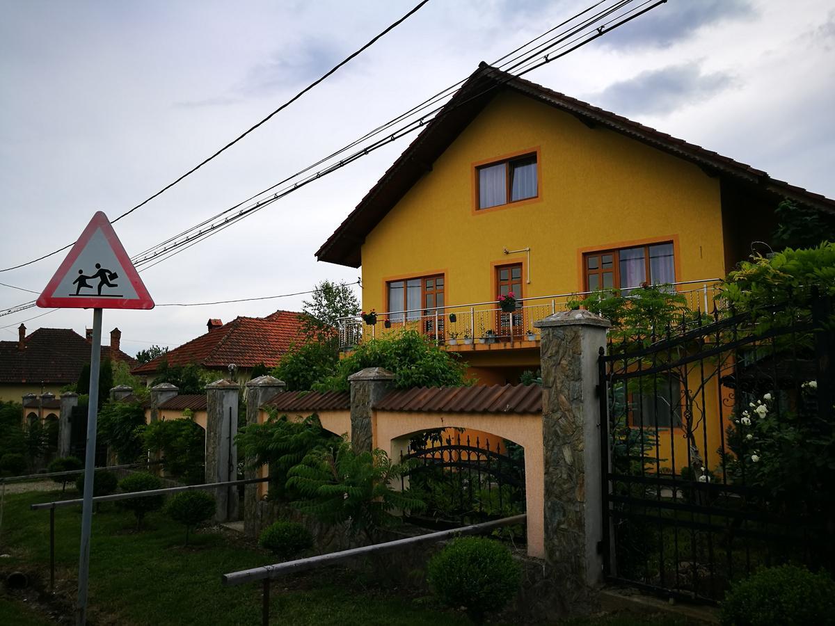 Pensiunea Ramona Cărpinişu エクステリア 写真