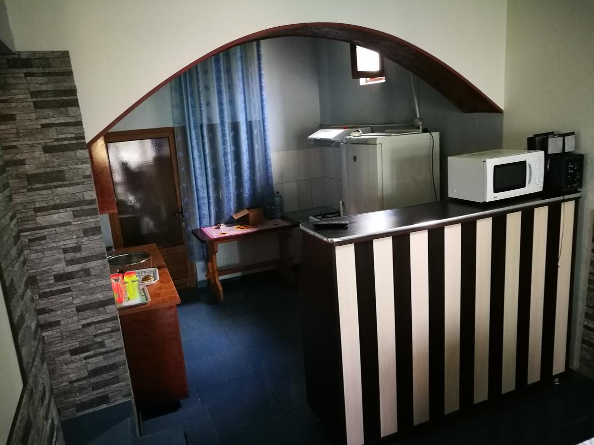 Pensiunea Ramona Cărpinişu エクステリア 写真